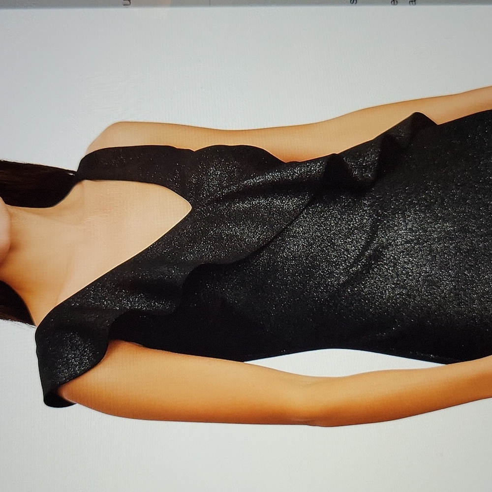 NWT: Ralph Lauren Metallic Ruffle-Trim Gown - Picture 13 of 13